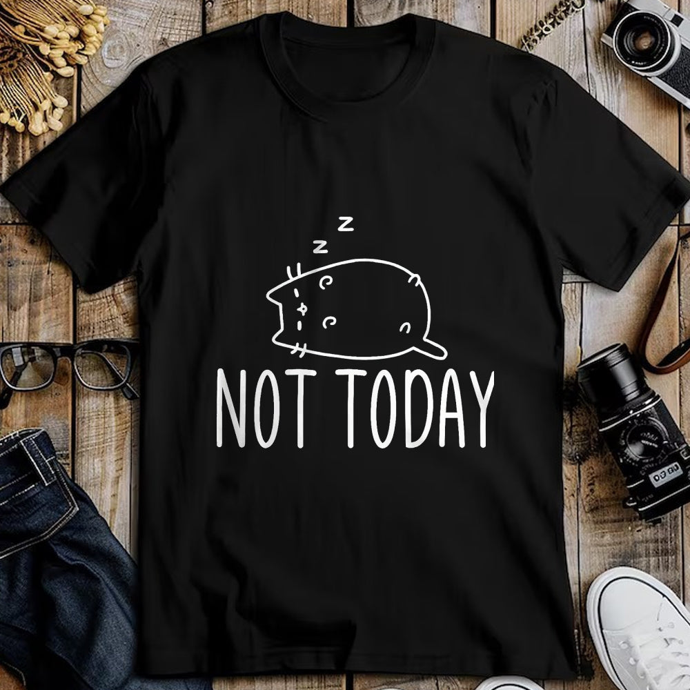 Cat Love Shirt, Funny Cat Lover Gift UnisexT-Shirt/Hoodie/Sweatshirt HLT00 - Not Today Crazy Cat T-Shirts Graphic Cute Funny T-Shirt, Men, Black, 4X-Large