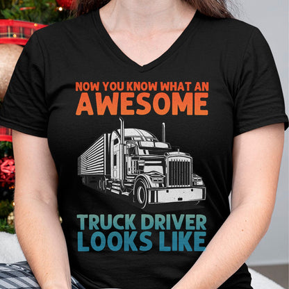 Best Truck Driver Life Shirt, Funny Trucker UnisexT-Shirt/Hoodie/Sweatshirt HLT00 - Truck Driver Art for Men Women Truck Driver Trucking Trucker T-Shirt