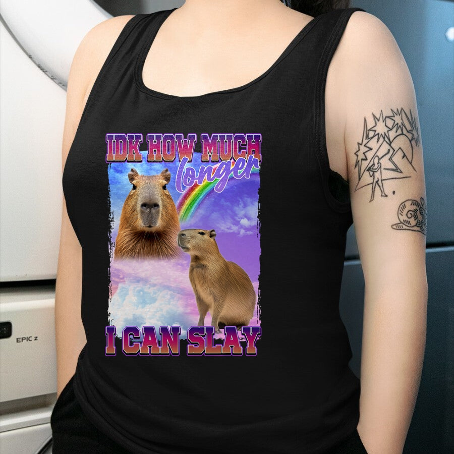 Cute Capybara Shirt, Funny Capybara Unisex T-Shirt/Hoodie/Sweatshirt HLT00 - IDK How Much Longer I Can Slay Capybara T-Shirt
