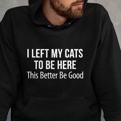Cat Love Shirt, Funny Cat Lover Gift UnisexT-Shirt/Hoodie/Sweatshirt HLT00 - I Left My Cats To Be Here - This Better Be Good - T-Shirt