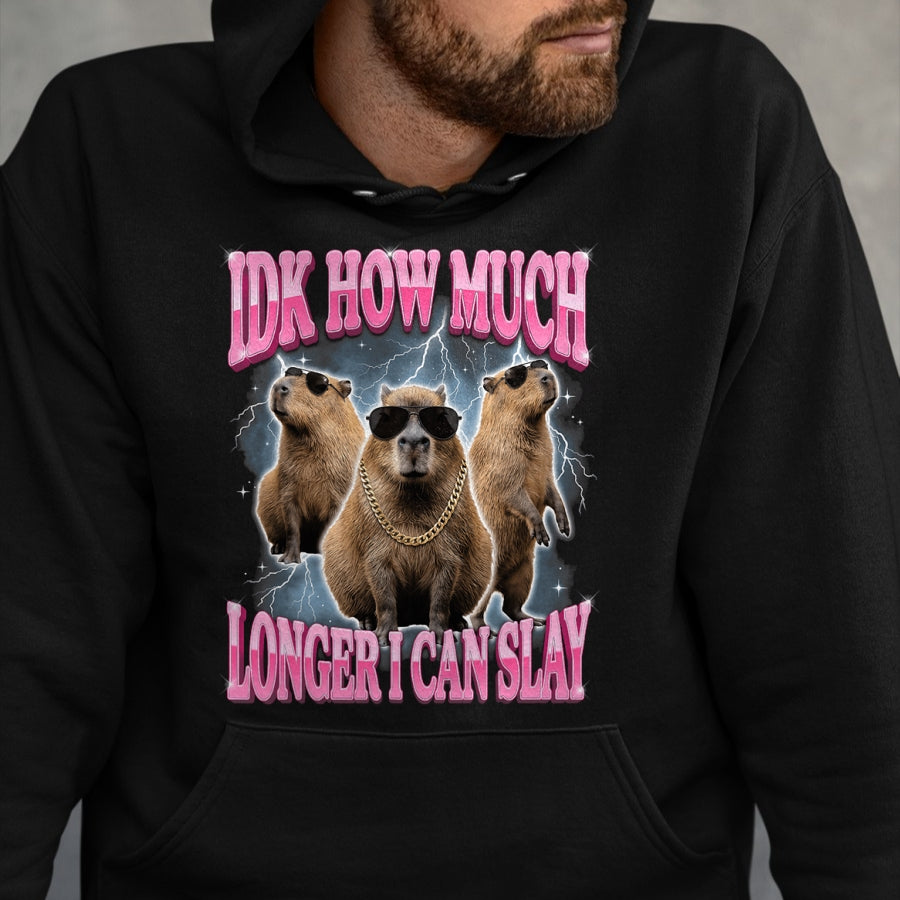Cute Capybara Shirt, Funny Capybara Unisex T-Shirt/Hoodie/Sweatshirt HLT00 - IDK How Much Longer I Can Slay T-Shirt