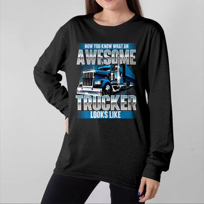 Best Truck Driver Life Shirt, Funny Trucker UnisexT-Shirt/Hoodie/Sweatshirt HLT00 - Awesome Trucker - Semi Truck Driver Trucking Big Rig Trucker T-Shirt