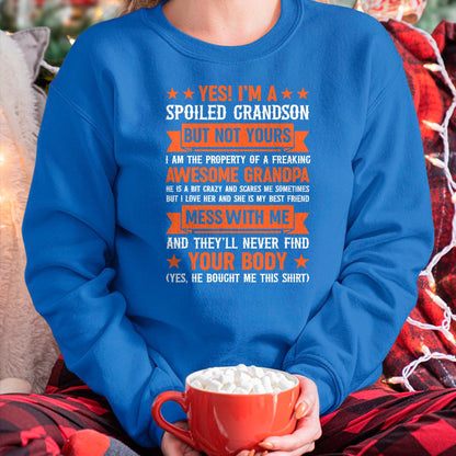 Best Grandma Shirt, Proud Grandma Unisex T-Shirt/Hoodie/Sweatshirt HLT00 - yes i'm a spoiled grandson T-Shirt (4)