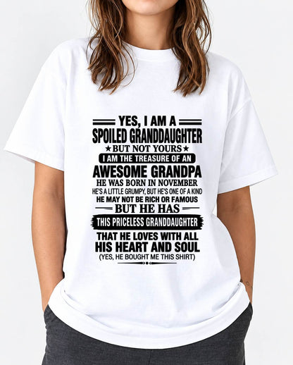 NOVEMBER GRANDPA & SPOILED GRANDDAUGHTER - FROM GRANDPA - TLEE11 (SKU2609-158-11)