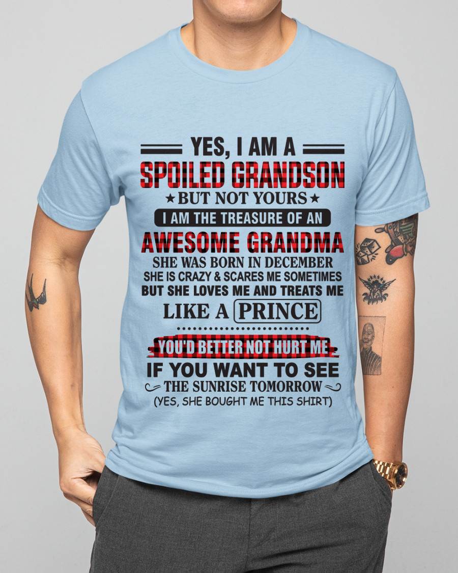 DECEMBER - YES, I AM A SPOILED GRANDSON BUT NOT YOURS I AM THE TREASURE OF AN AWESOME GRANDMA - FROM GRANDMA - TLEE12 (SKU2602-108-12)
