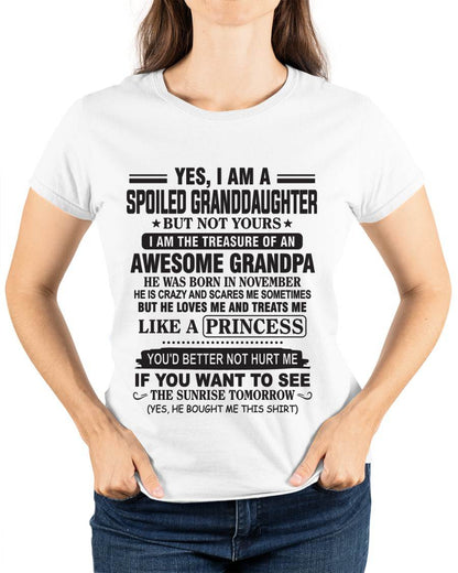 NOVEMBER - A SPECIAL SHIRT FOR MY GRANDDAUGHTER , LOVED LIKE A PRINCESS BY GRANDPA - FROM GRANDPA - TLEE11 (SKU10-119-11)