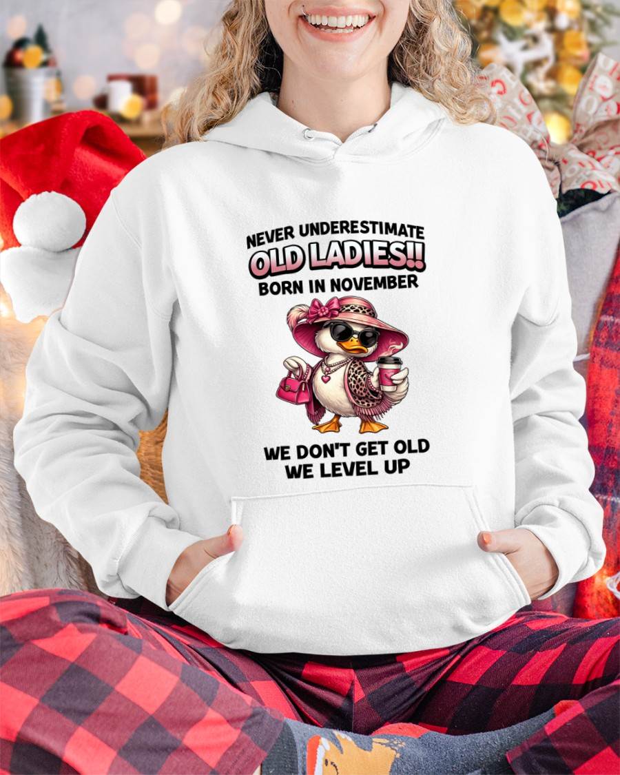 NOVEMBER LADIES – WE DON’T GET OLD, WE LEVEL UP - FOR WOMEN - TLEE11 (SKU2604-35-11)