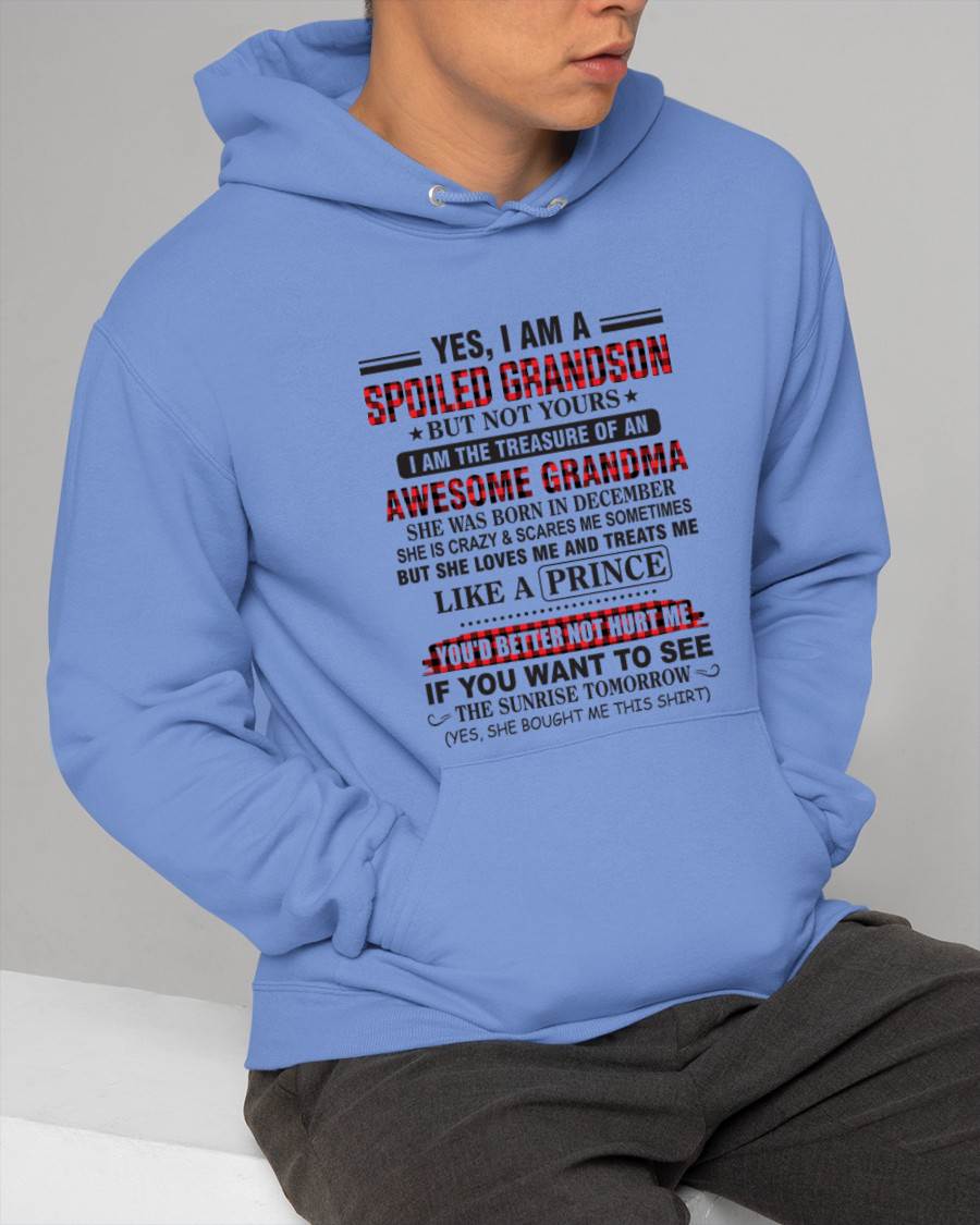 DECEMBER - YES, I AM A SPOILED GRANDSON BUT NOT YOURS I AM THE TREASURE OF AN AWESOME GRANDMA - FROM GRANDMA - TLEE12 (SKU2602-108-12)