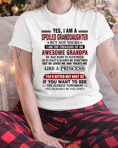 NOVEMBER - YES, I AM A SPOILED GRANDDAUGHTER – TREASURE OF AN AWESOME GRANDPA - FROM GRANDPA - TLEE11 (SKU2602-205-11)