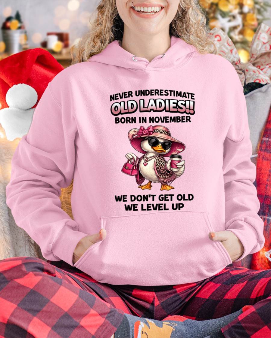 NOVEMBER LADIES – WE DON’T GET OLD, WE LEVEL UP - FOR WOMEN - TLEE11 (SKU2604-35-11)