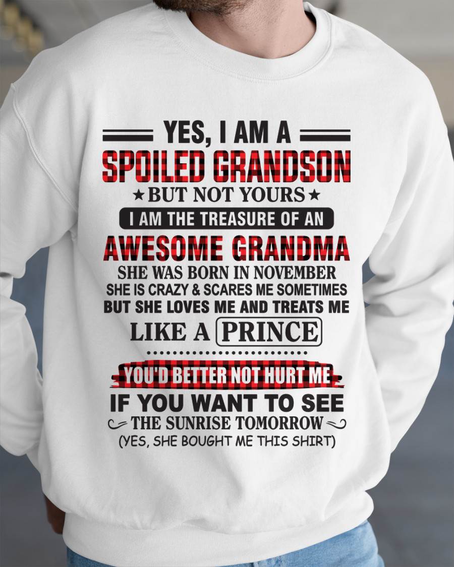 NOVEMBER - YES, I AM A SPOILED GRANDSON BUT NOT YOURS I AM THE TREASURE OF AN AWESOME GRANDMA - FROM GRANDMA - TLEE11 (SKU2602-108-11)