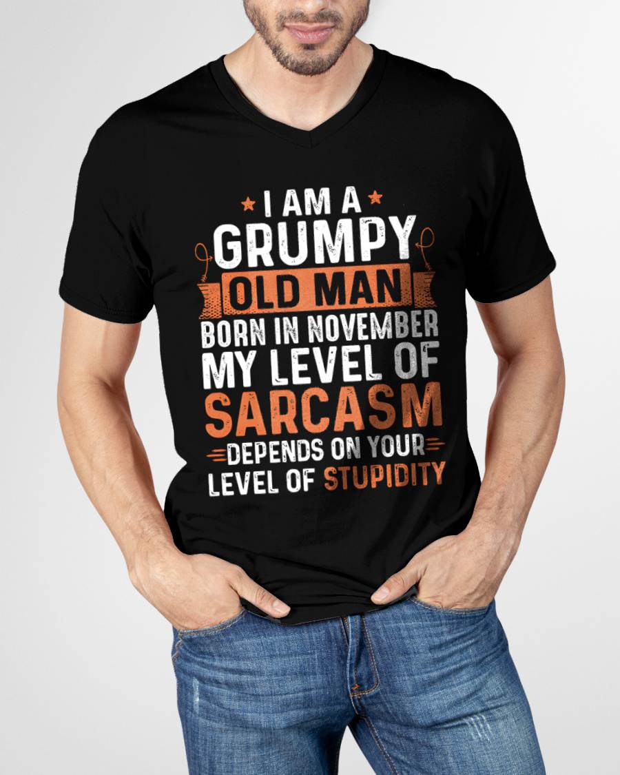 NOVEMBER - SARCASTIC LEVEL: DEPENDS ON YOUR STUPIDITY SHIRT - GIFT FOR MAN - TLEE11 (SKU10-70-11)