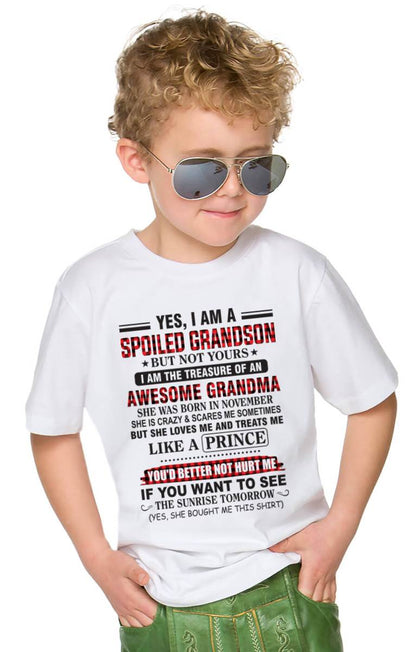 NOVEMBER - YES, I AM A SPOILED GRANDSON BUT NOT YOURS I AM THE TREASURE OF AN AWESOME GRANDMA - FROM GRANDMA - TLEE11 (SKU2602-108-11)